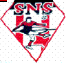 Saint Nic Sports