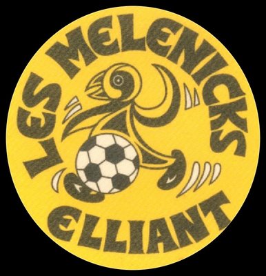 ecole de foot des melenicks